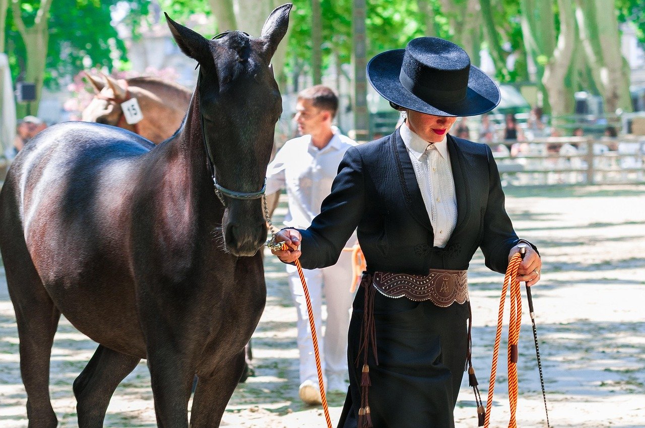 equestrian paralympics 2024 2024