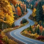 travelsfornow.com